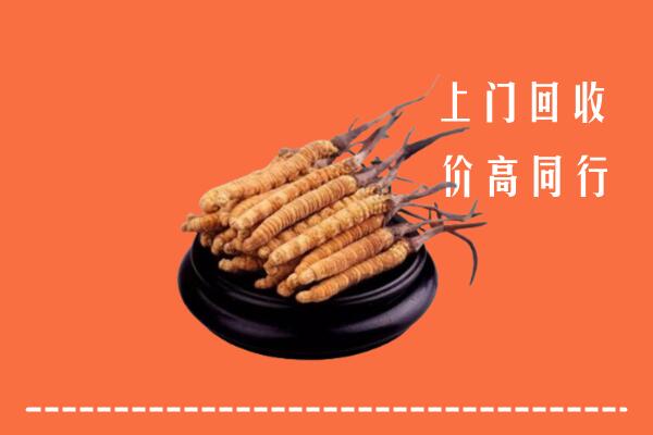 高价求购：洛扎县回收散虫草